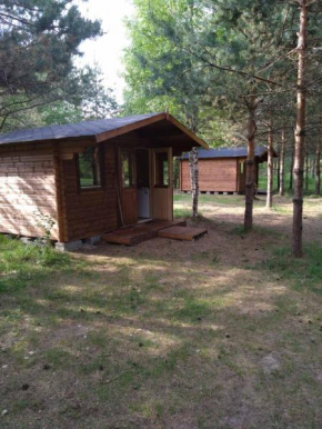 Домик на Чудском озере